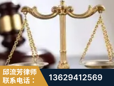 文山-委托诉讼代理人出庭